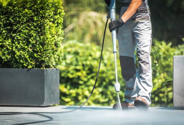Best Roof Washing  in Milan, IN